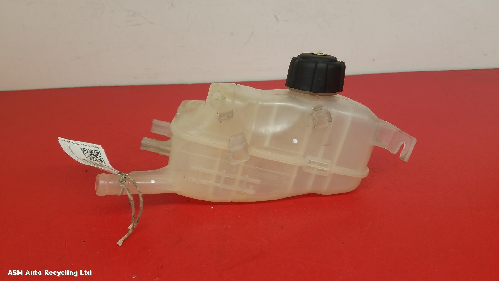 View Auto part Overflow Bottle Renault Megane 2009
