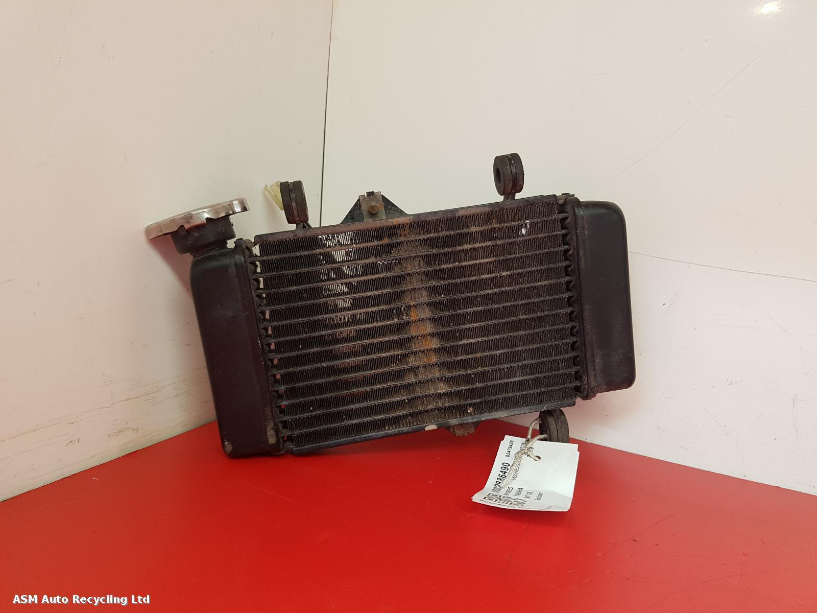 View Auto part Radiator Yamaha Mt 125 2019