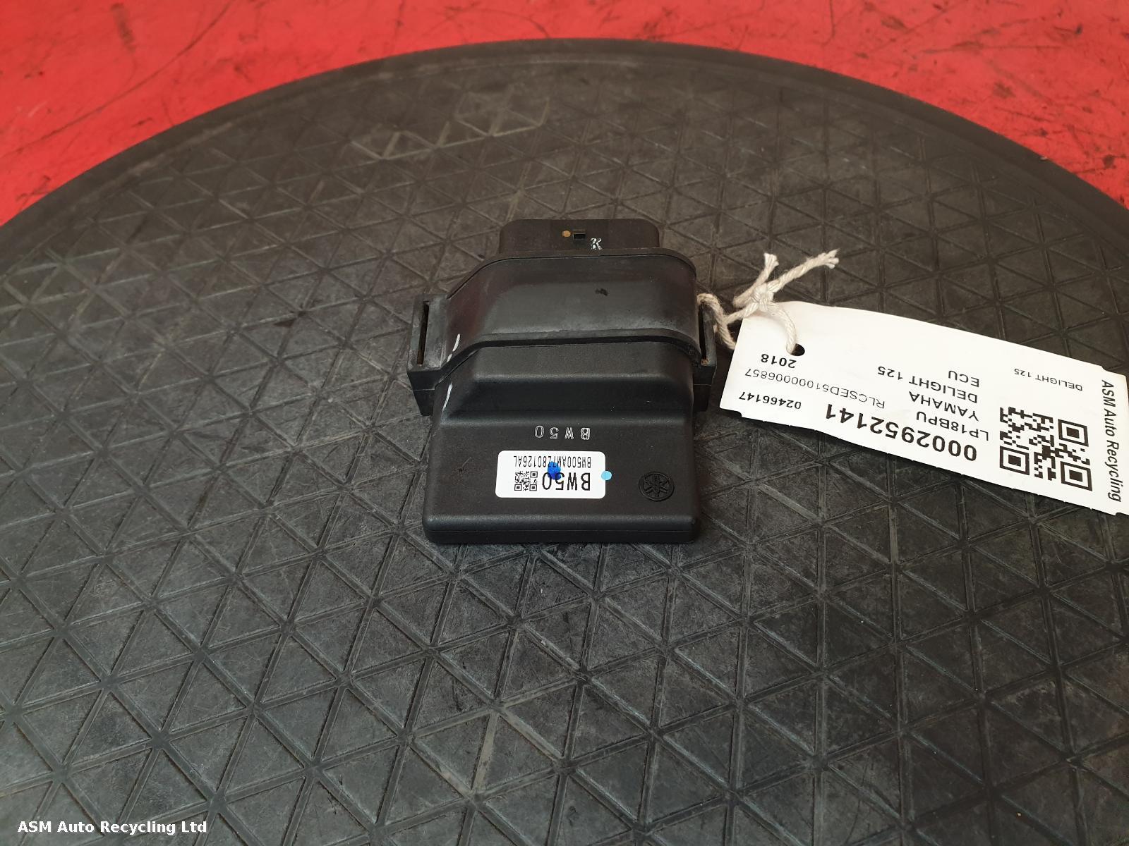 View Auto part ECU Yamaha Delight 125	 2018