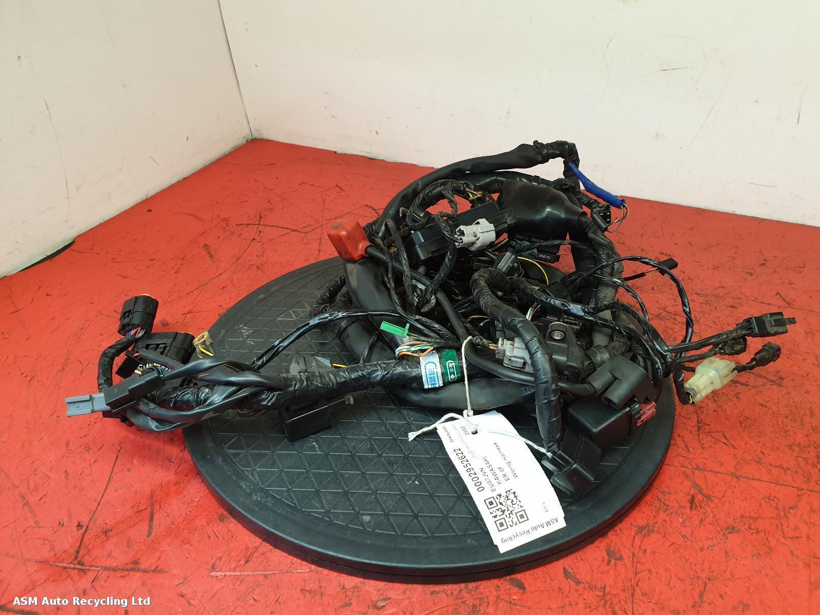 View Auto part Wiring Harness Kawasaki Er 6f 2007