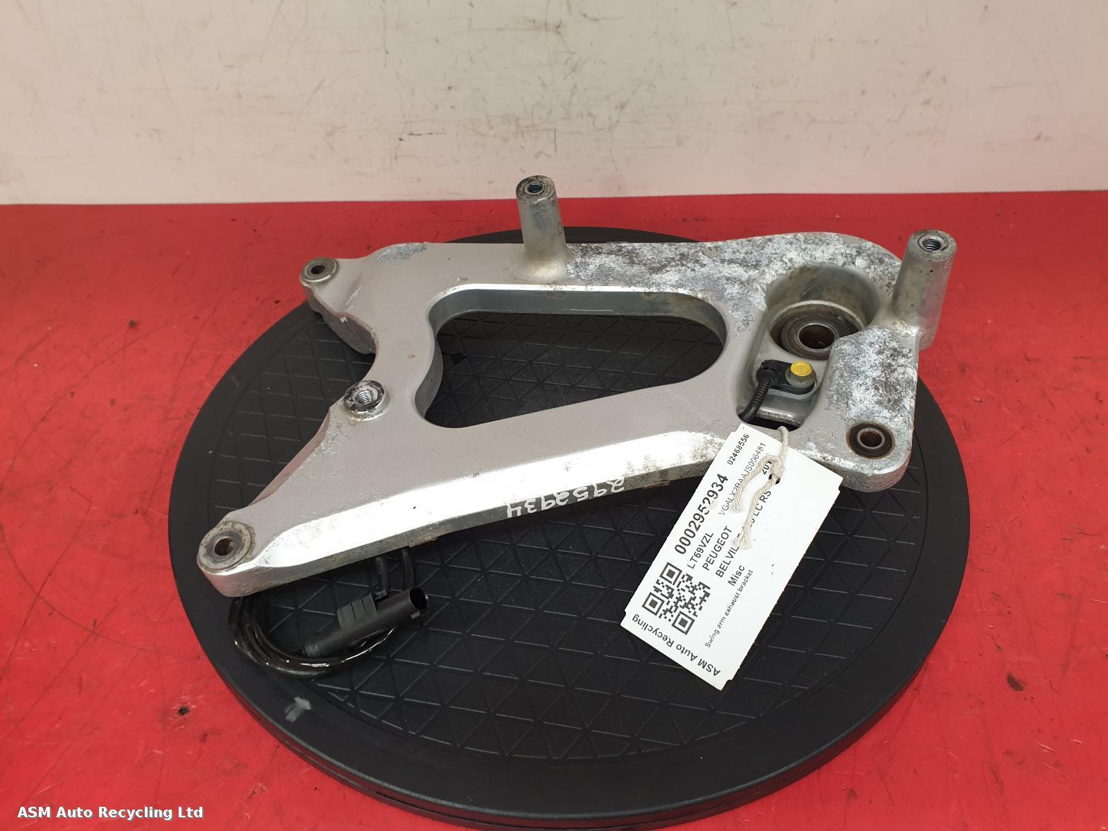 View Auto part Swing Arm Peugeot Belville 125 Lc Rs 2019