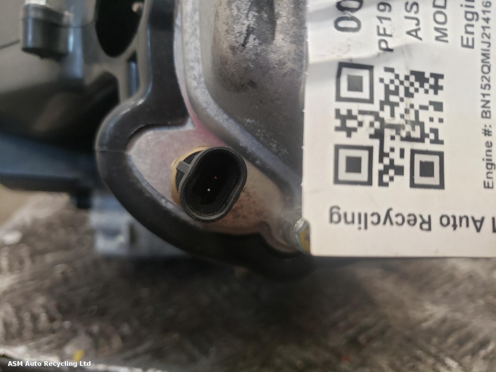 View Auto part Engine Ajs Modena 125 2019