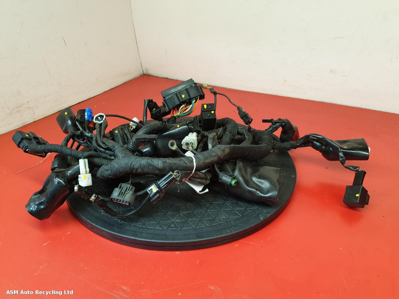 View Auto part Wiring Harness Royal Enfield Himalayan 2021