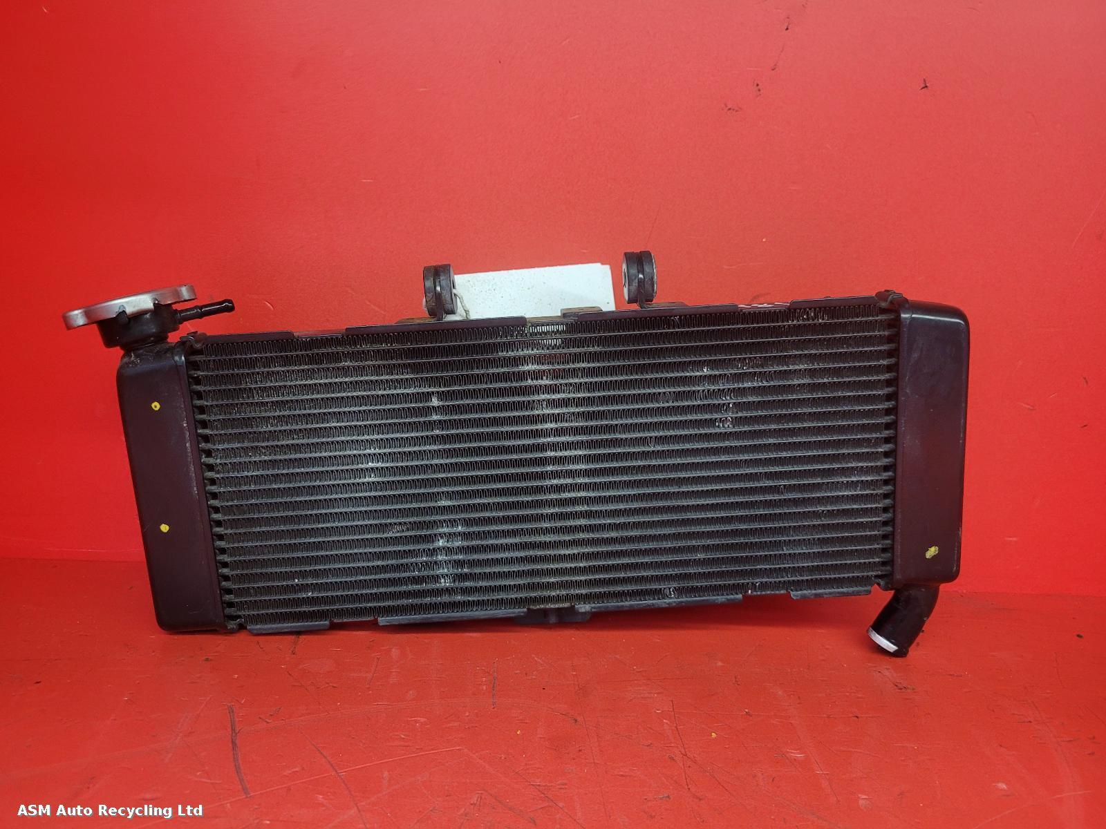 View Auto part Radiator Honda X-adv 2020