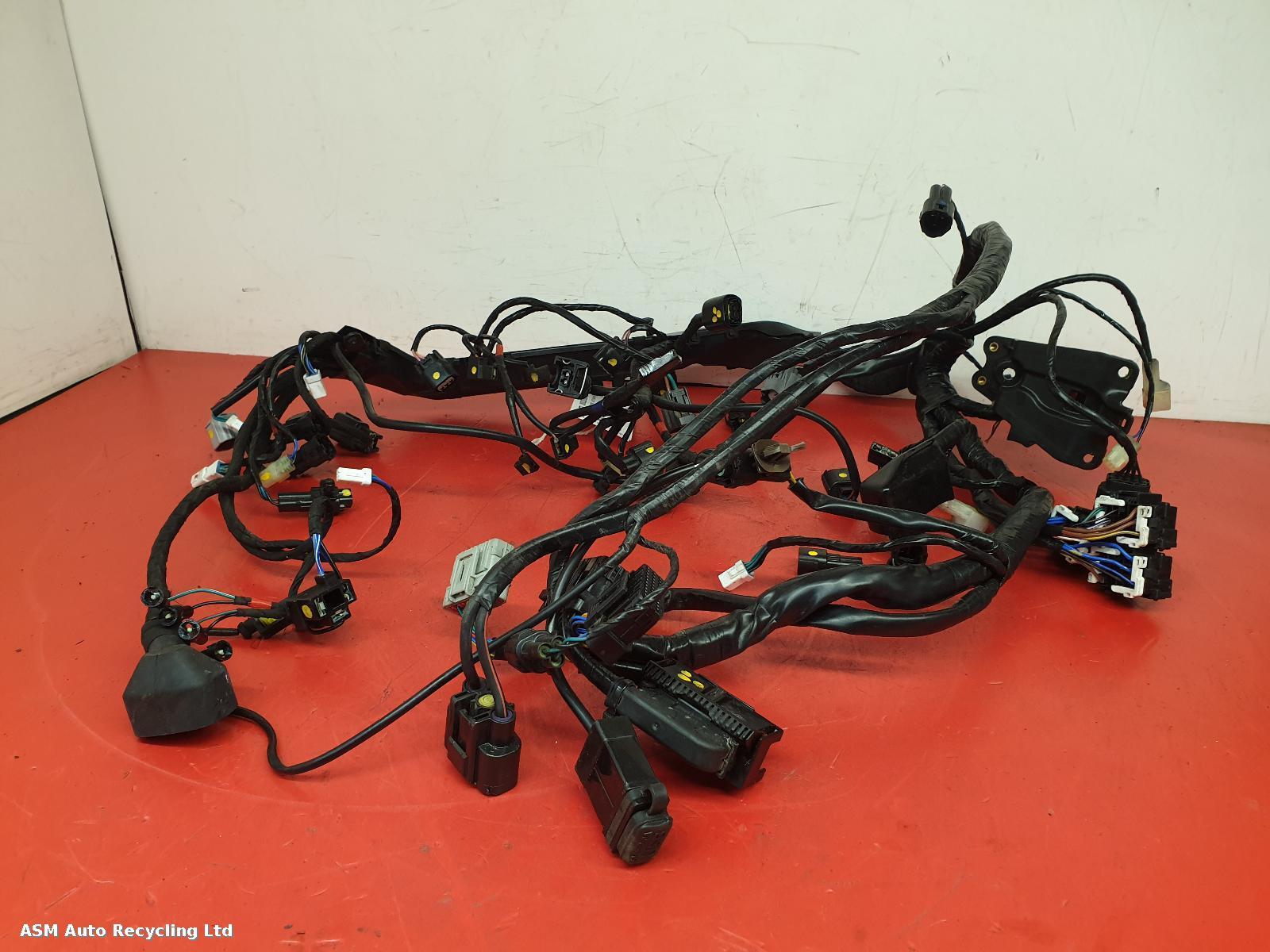 View Auto part Wiring Harness Triumph Speed Twin 1200 2021