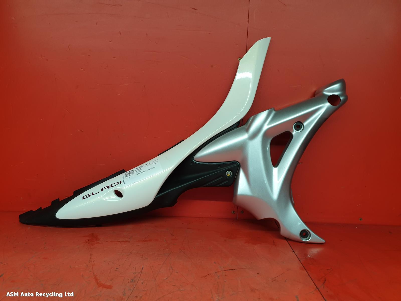 View Auto part Side Panel Right Suzuki Sfv 650 2010
