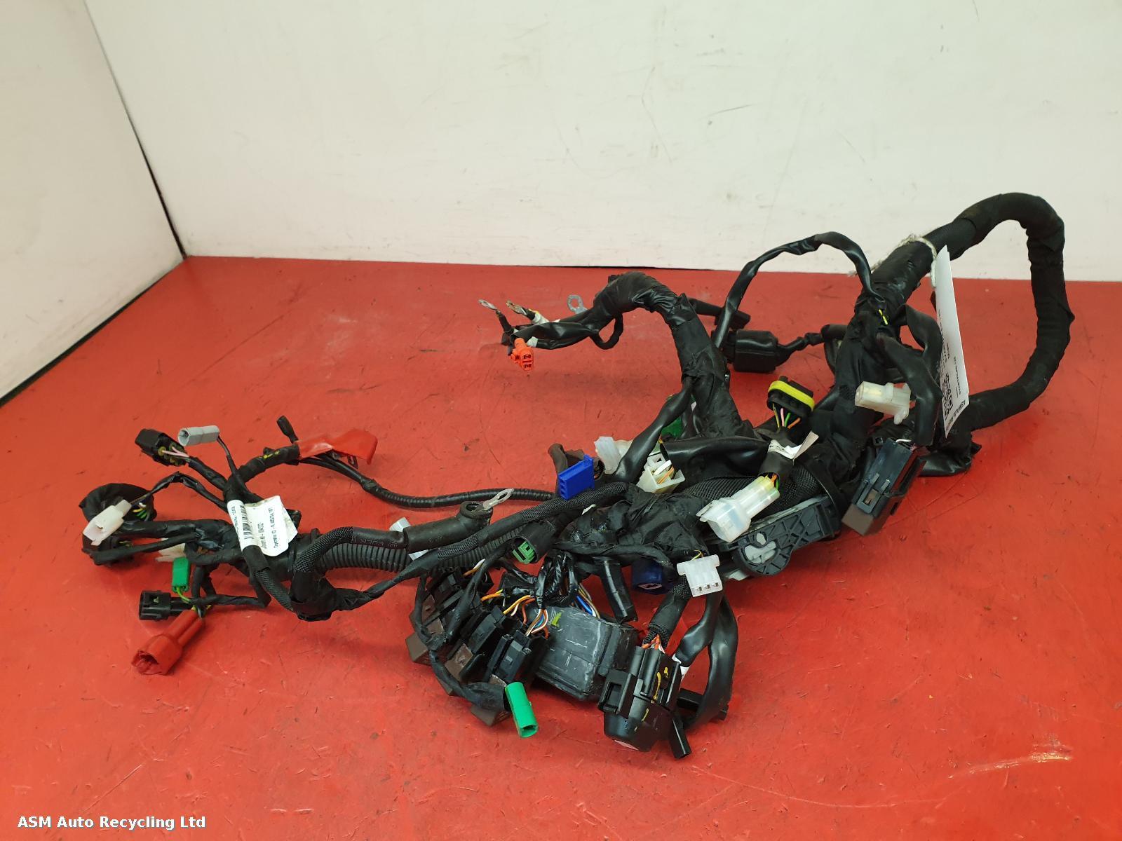 View Auto part Wiring Harness Husqvarna Svartpilen 125 2022