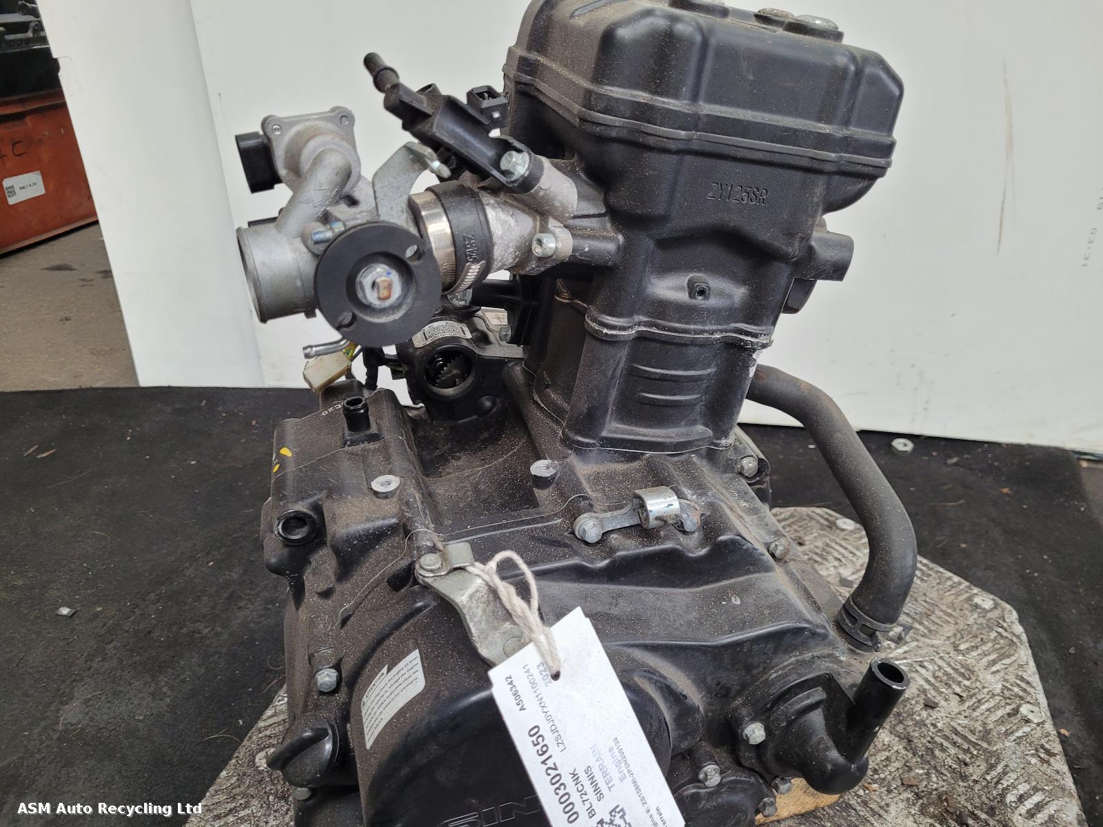 View Auto part Engine Sinnis Terrain 2023