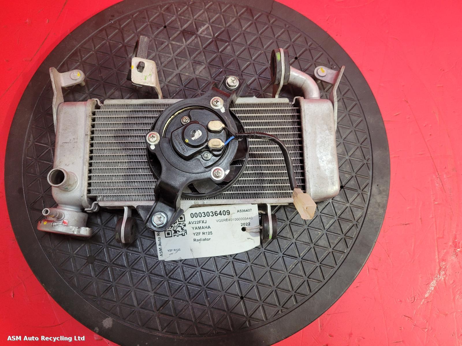 View Auto part Radiator Yamaha Yzf R125 2022