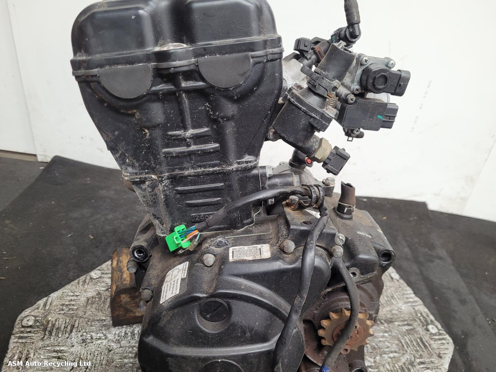 View Auto part Engine Sinnis Terrain 2022