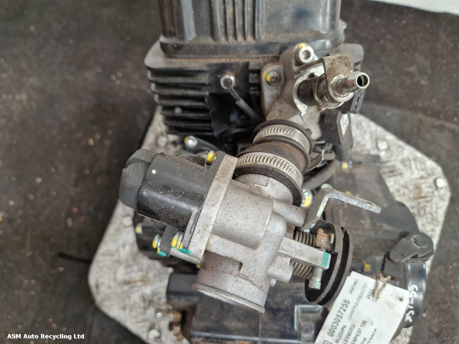 View Auto part Engine Lexmoto Tempest 125 2023
