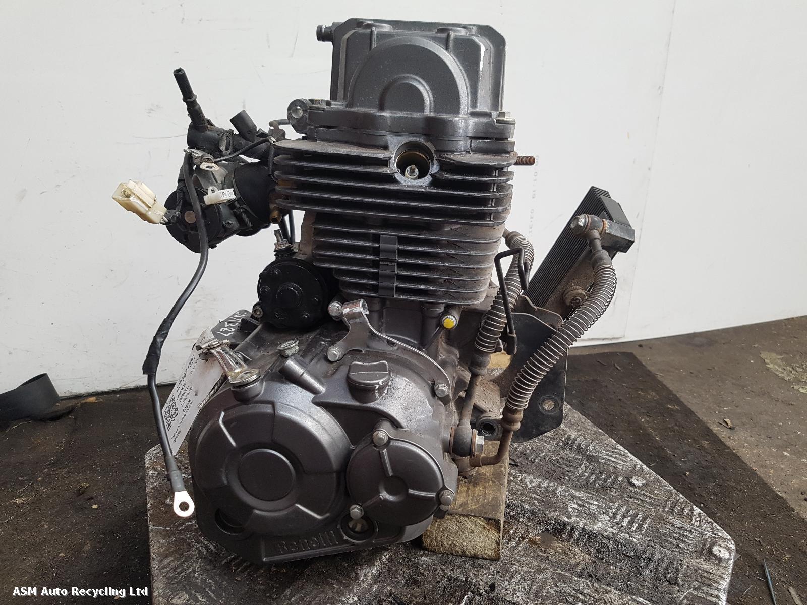 View Auto part Engine Benelli Tornado 2020