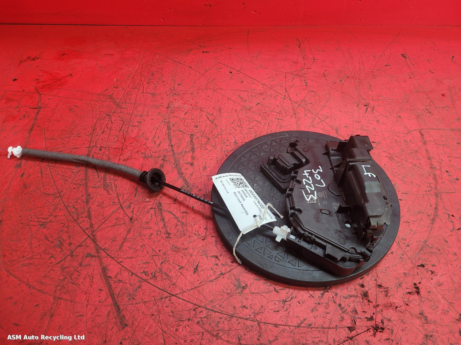 View Auto part Door Lock Assembly Skoda Octavia 2020