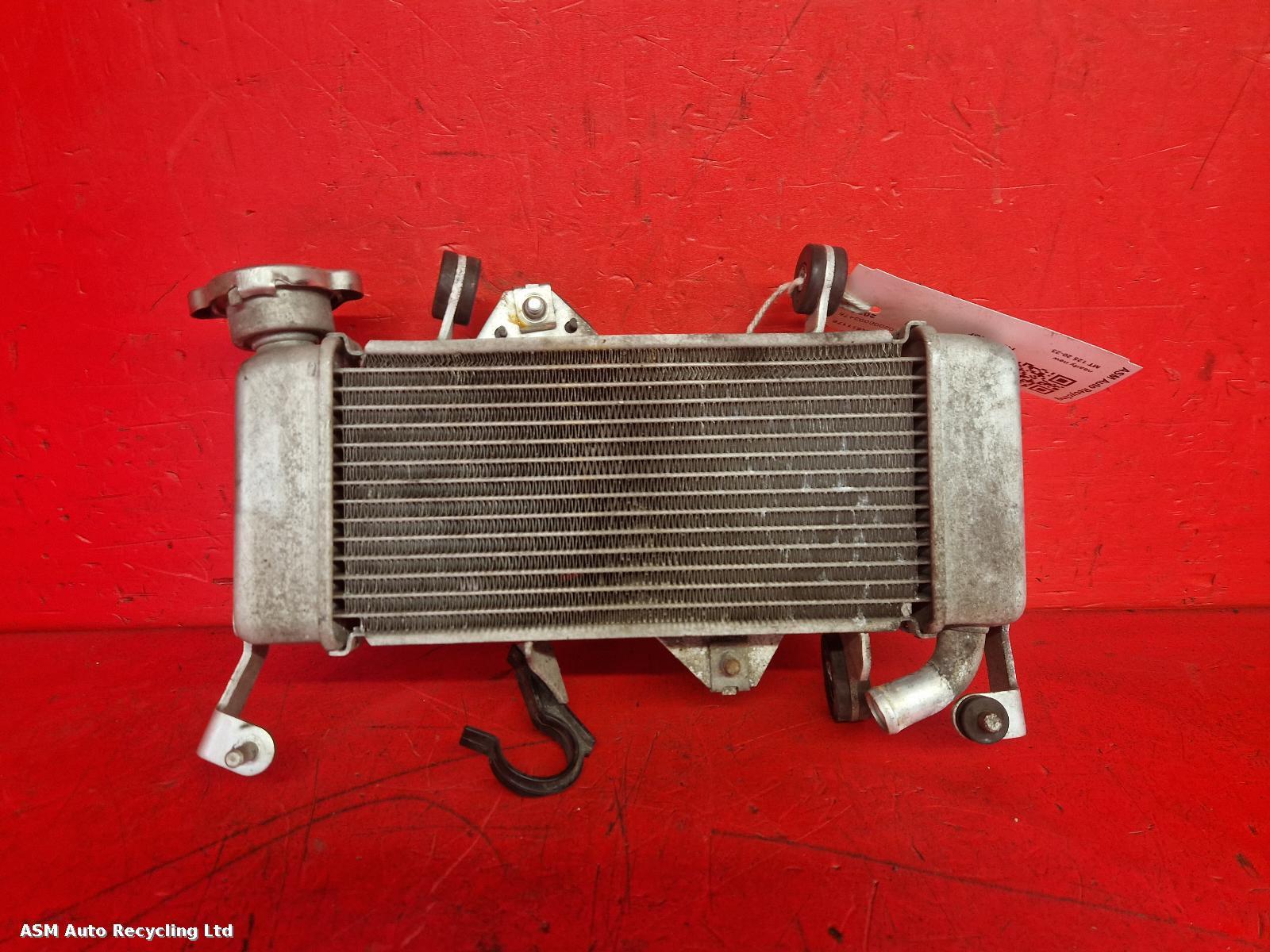 View Auto part Radiator Yamaha Mt 125 2021