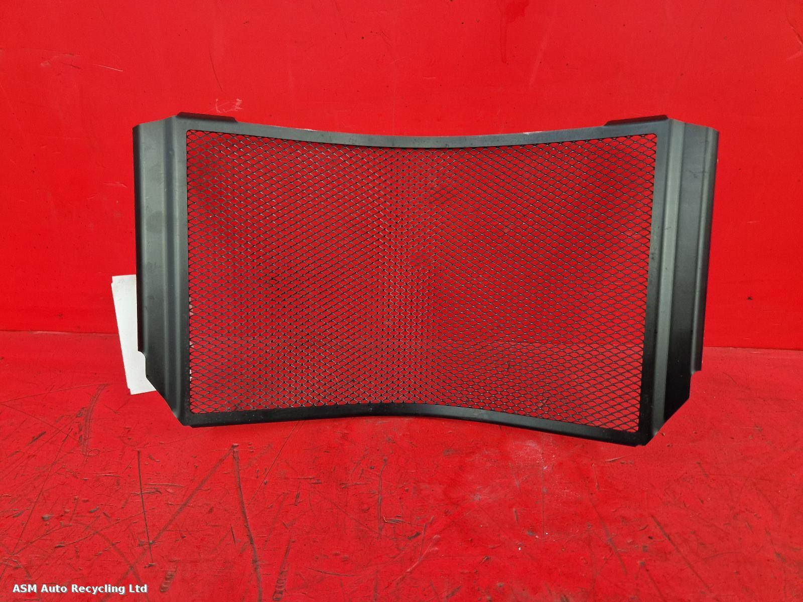 View Auto part Grille Yamaha Yzf R1 2021