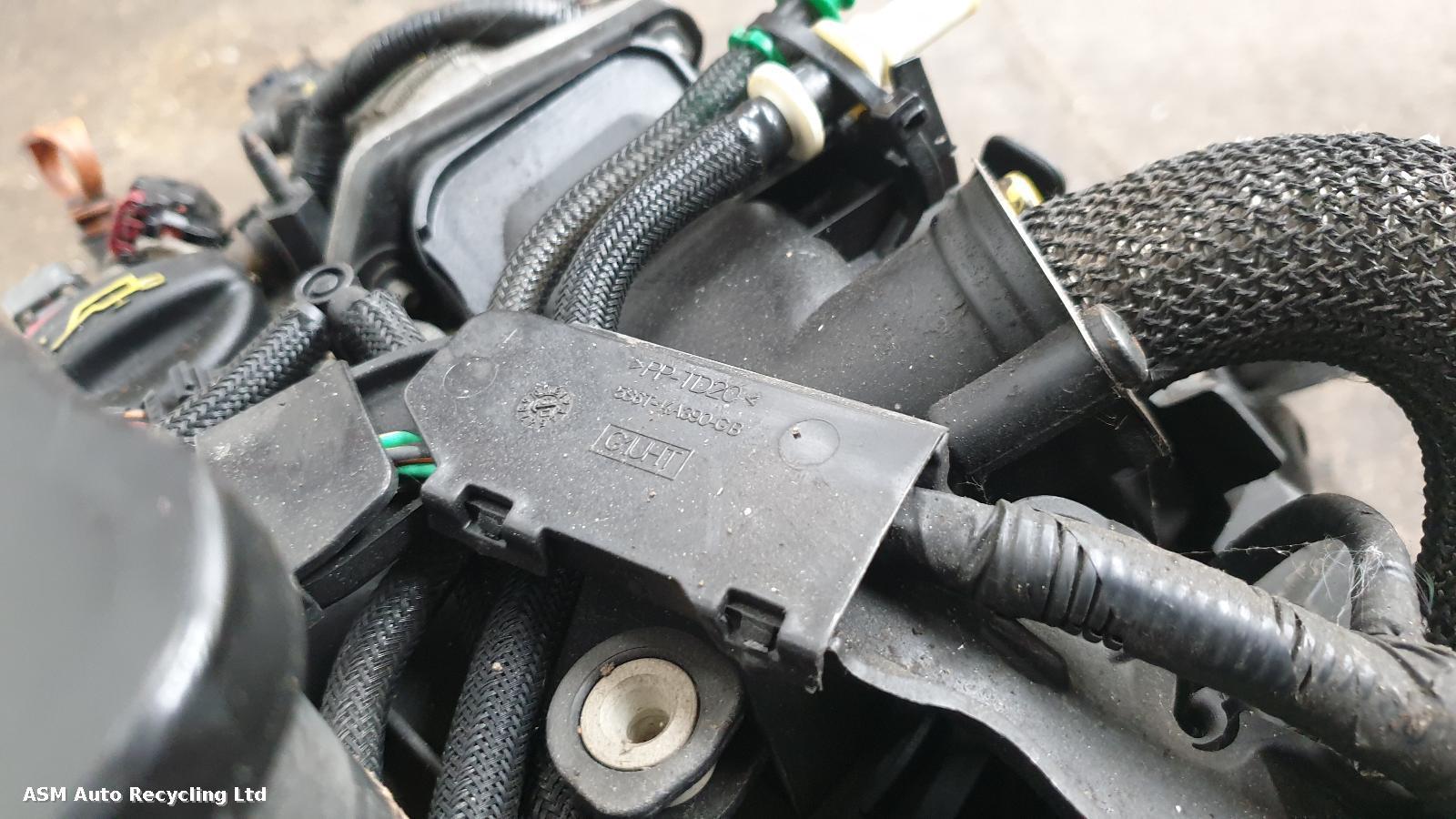 View Auto part Engine Ford Focus 2010