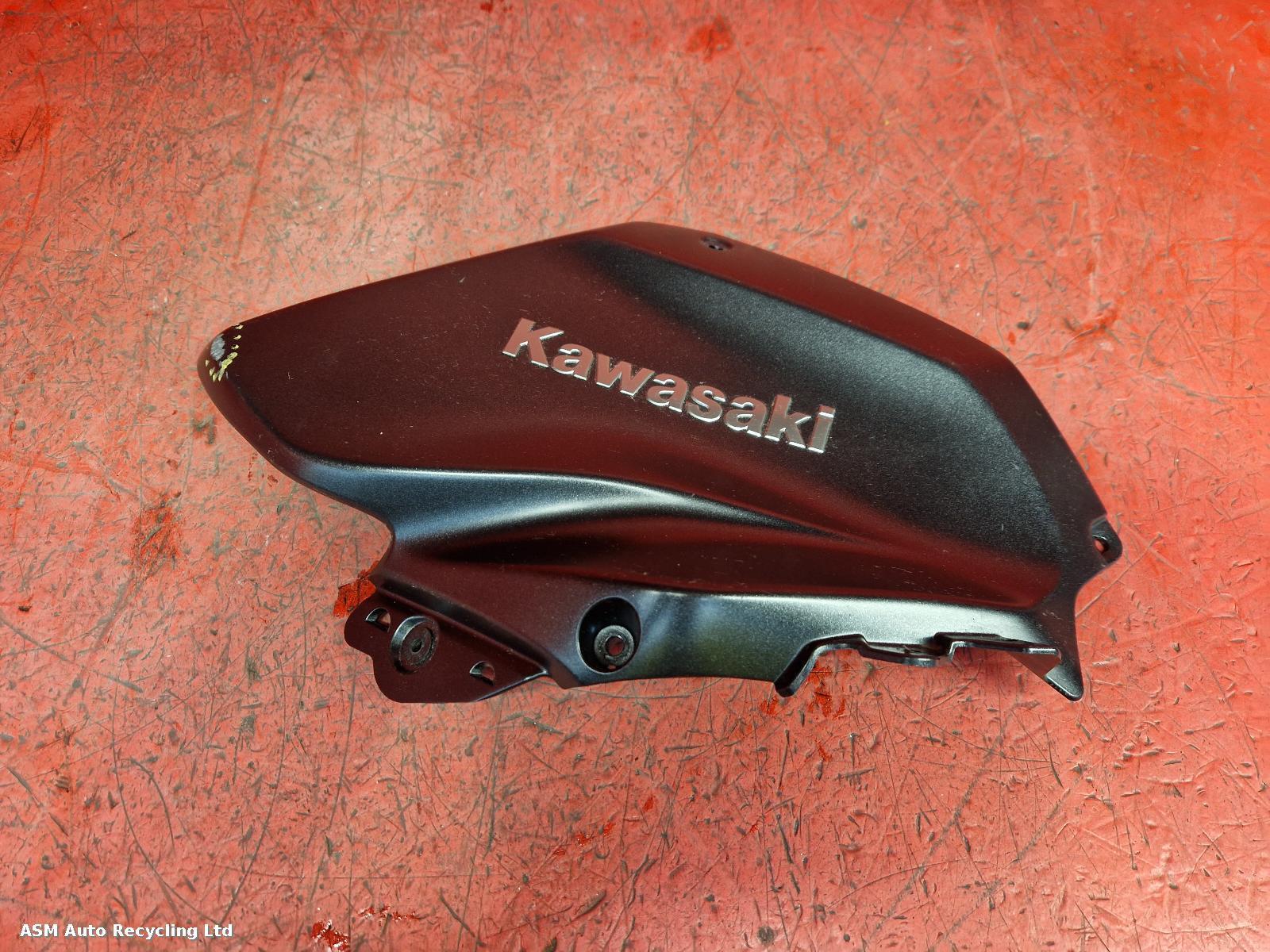 View Auto part Tank Trim Kawasaki Z H2 2020