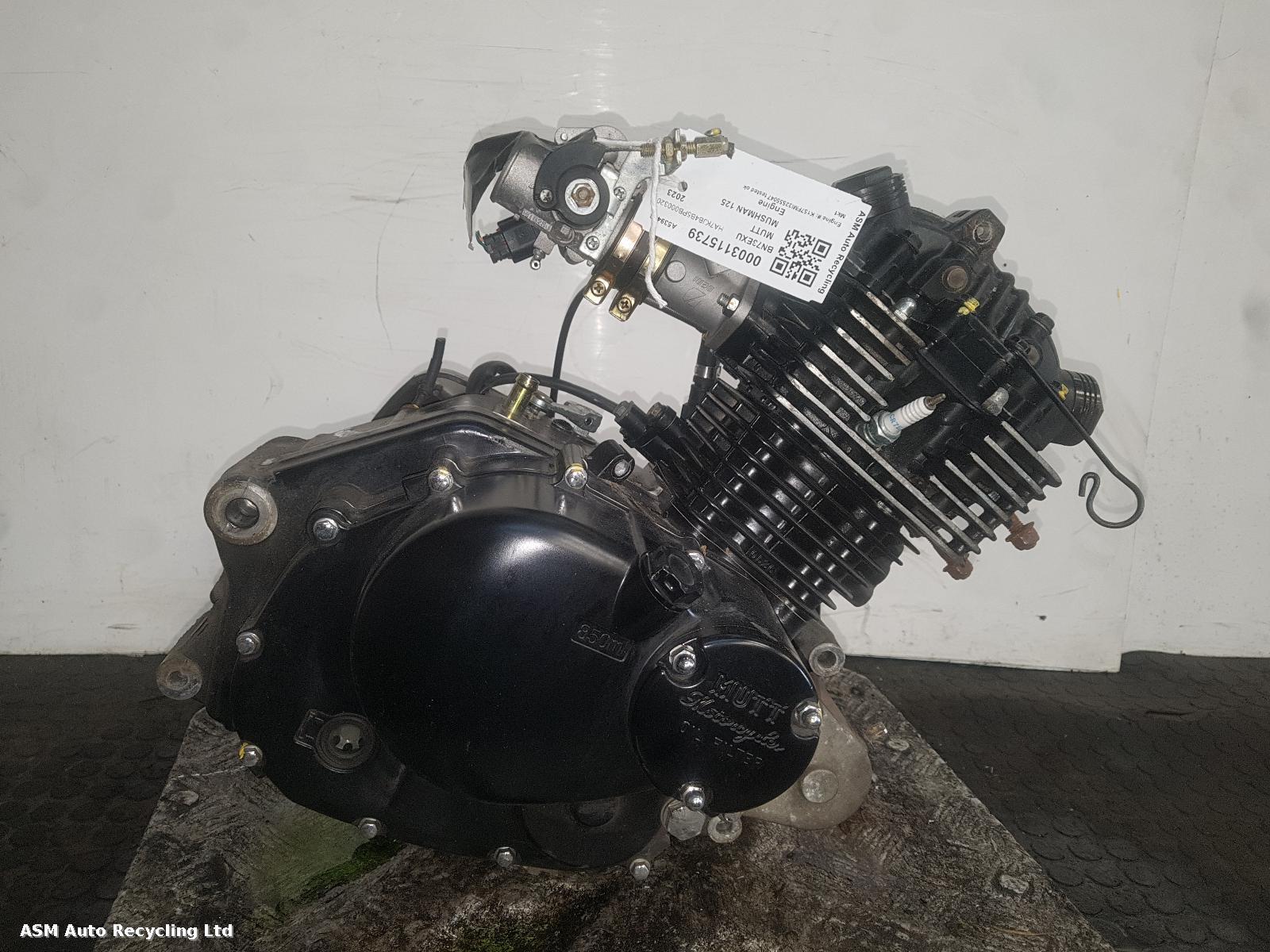 Image for a 2023 Mutt Mushman 125 0.1 Unknown Engine