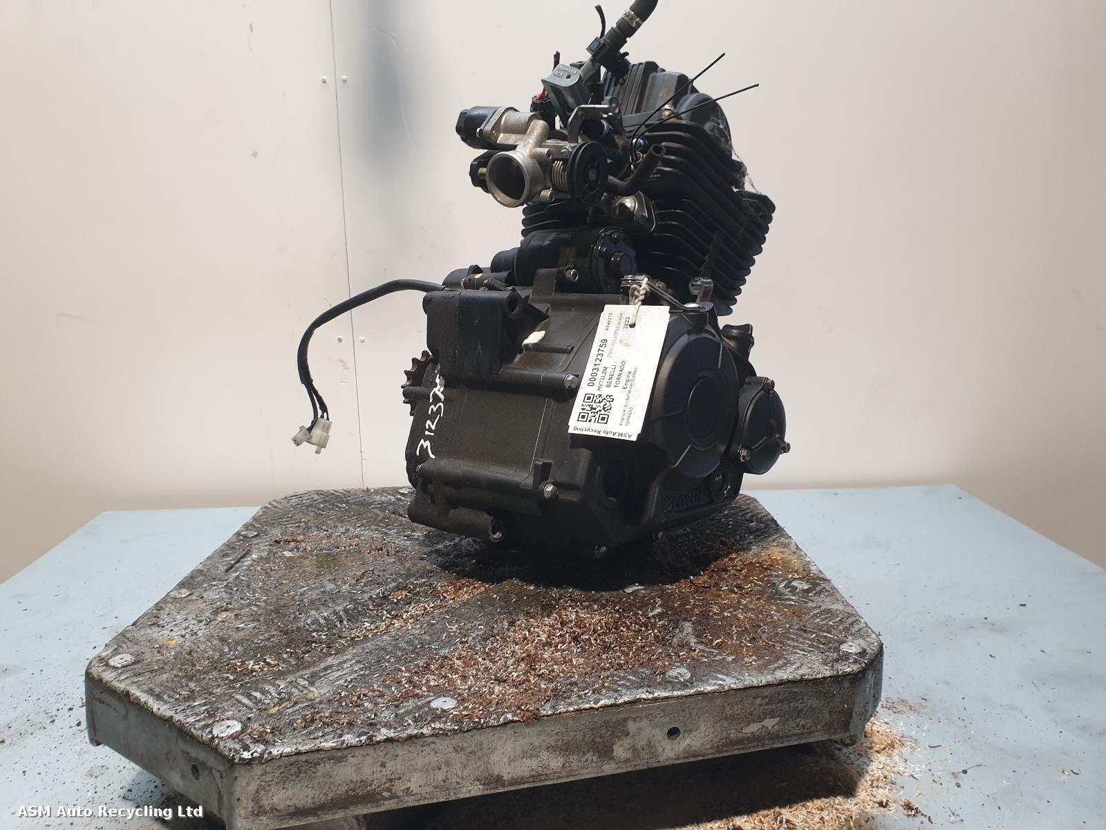 View Auto part Engine Benelli Tornado 2023