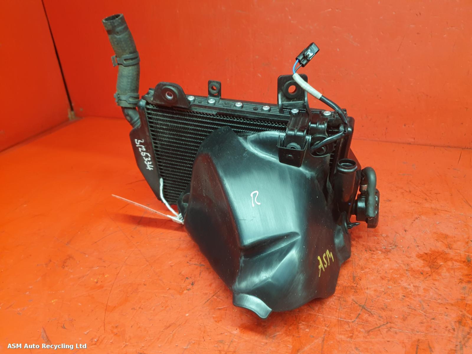 View Auto part Radiator Triumph Tiger 900 Gt Pro 2024