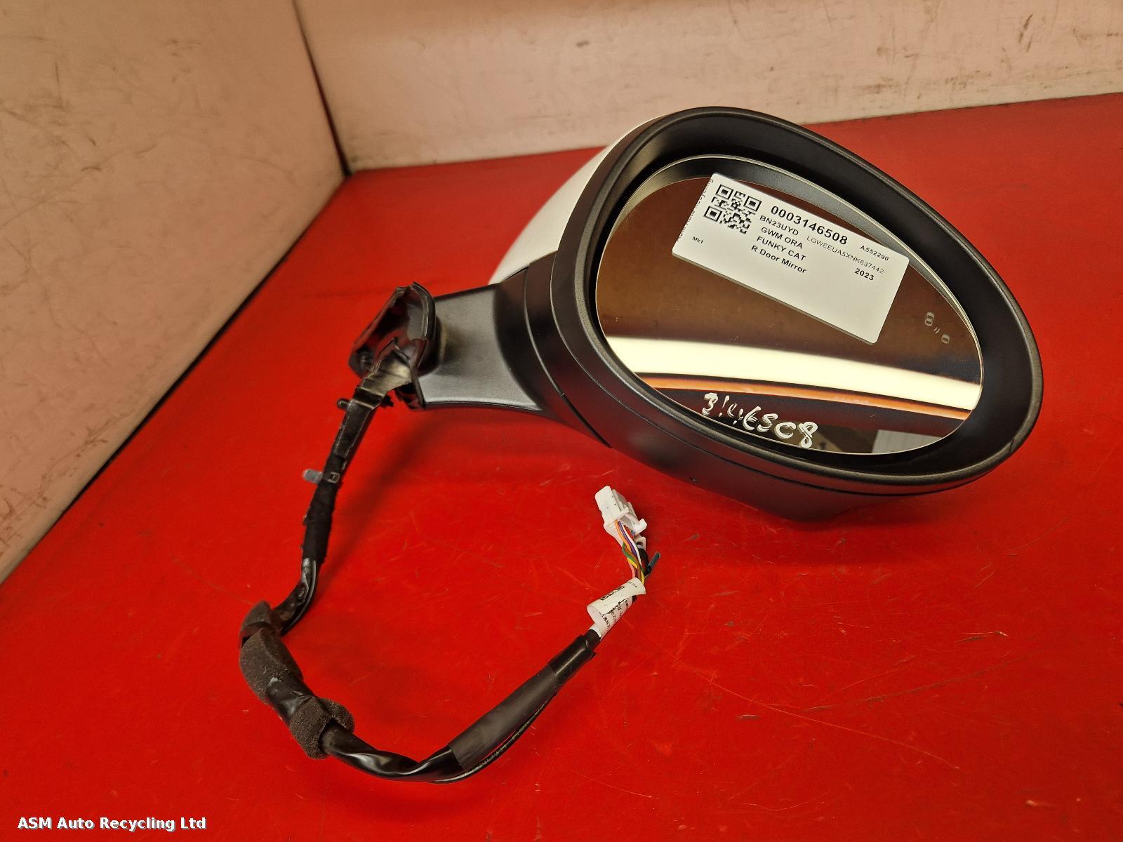 View Auto part R Door Mirror Gwm Ora Funky Cat 2023