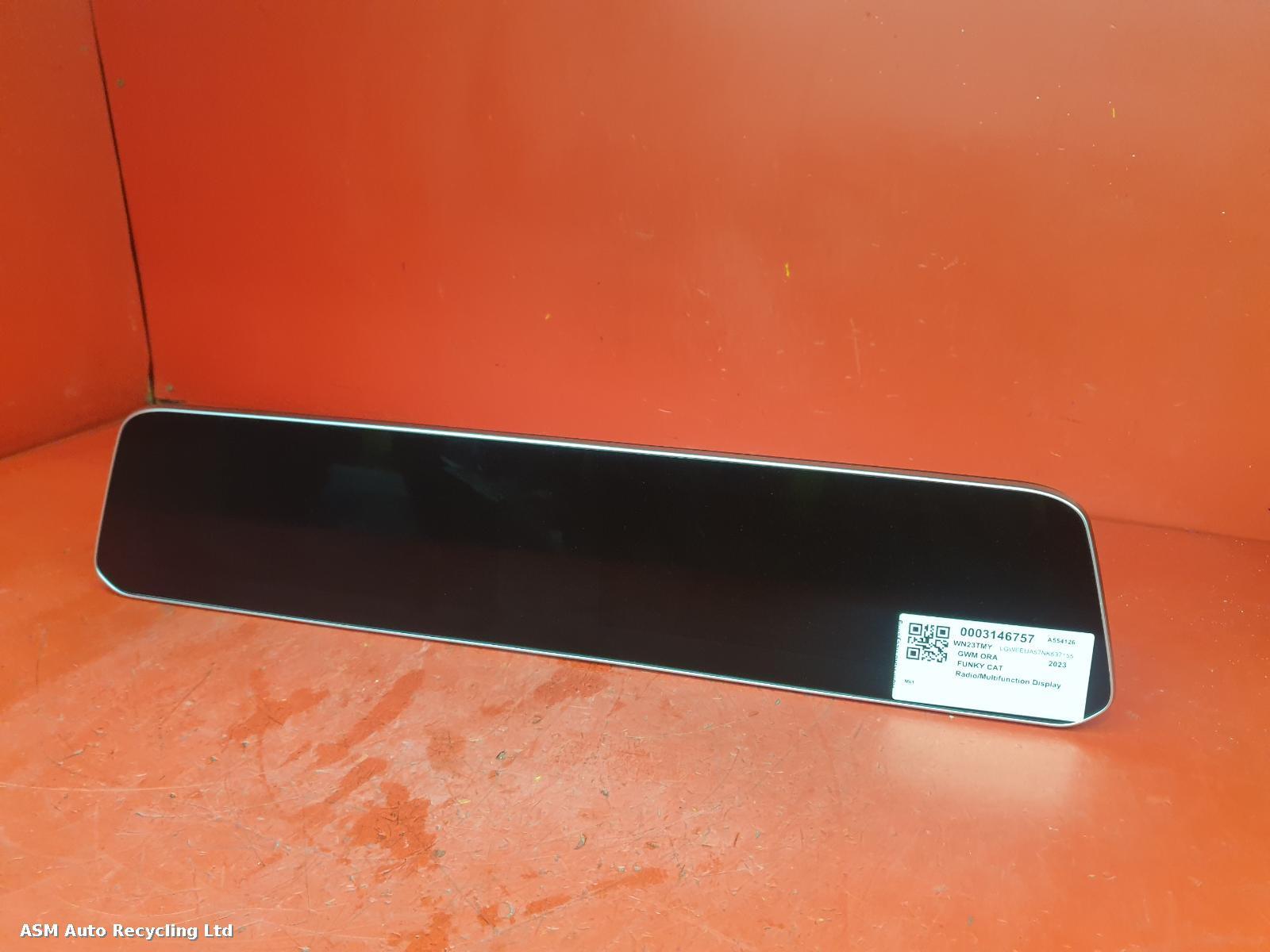 View Auto part Radio Display Gwm Ora Funky Cat 2023