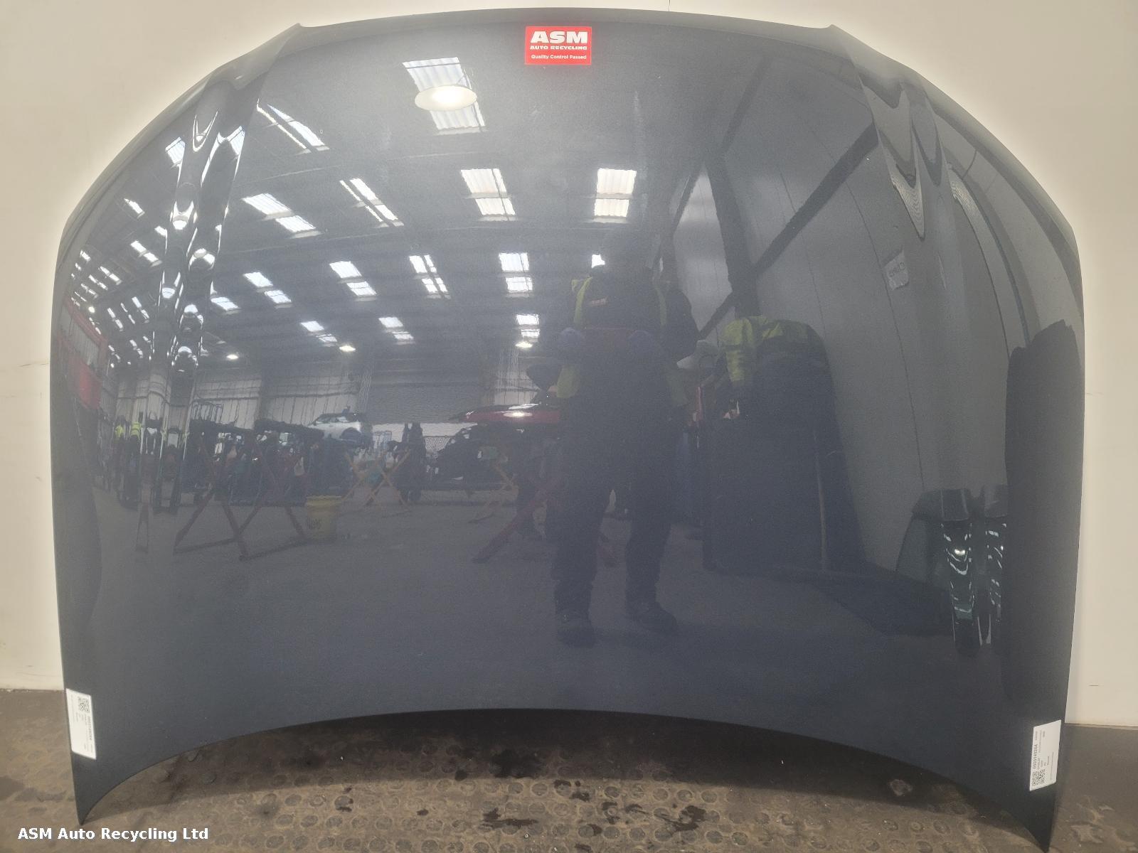 View Auto part Bonnet Audi A3 2009
