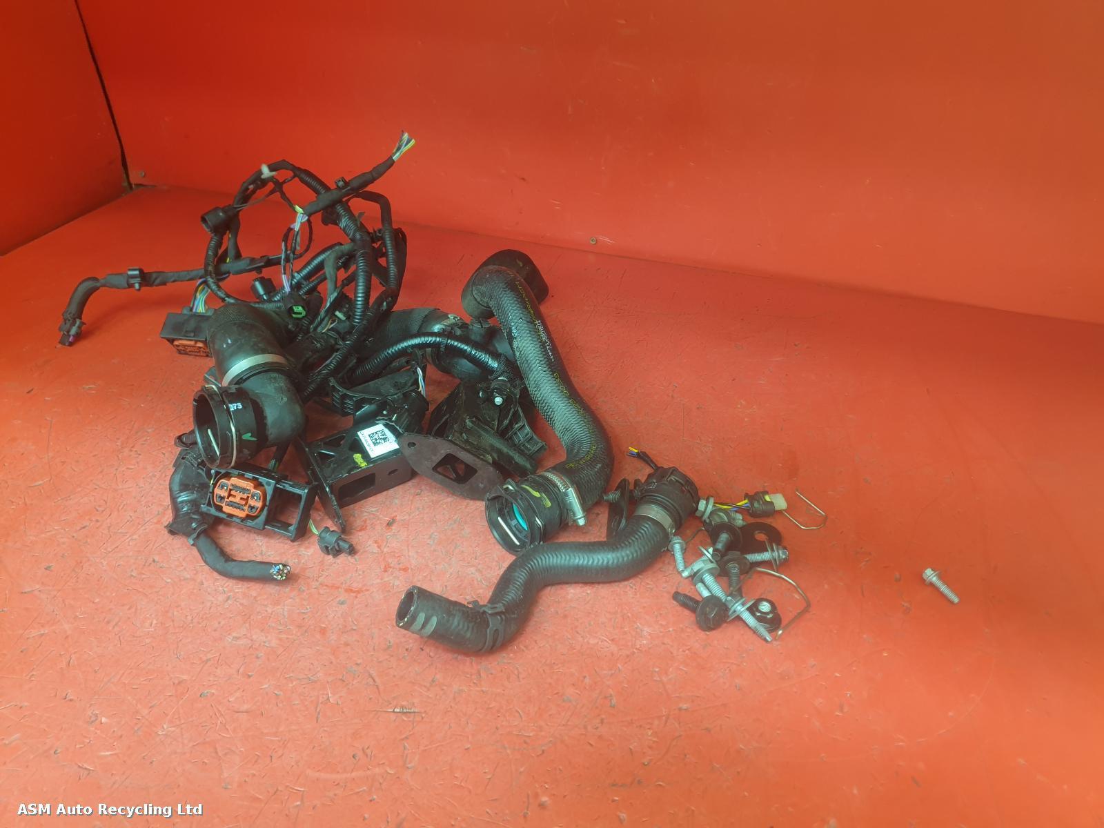 View Auto part Wiring Harness Jaguar F-pace 2024