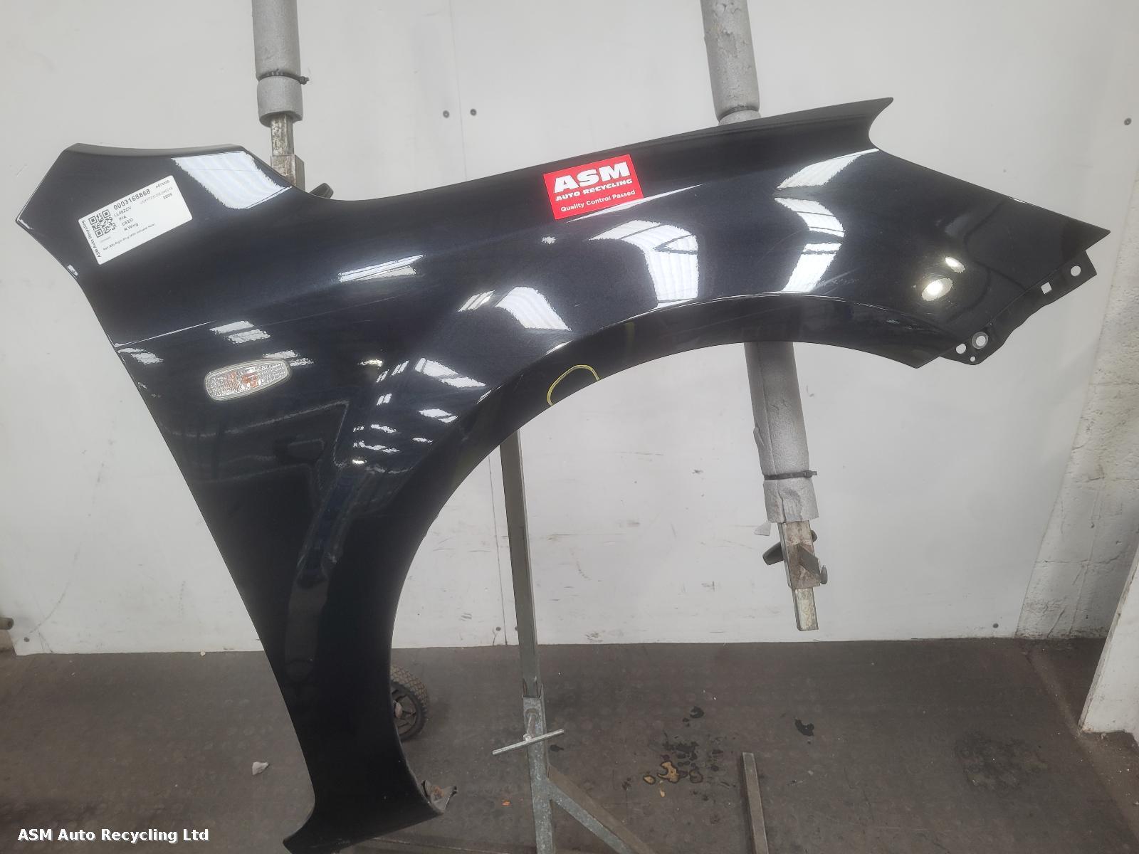 View Auto part R Wing Kia Ceed 2009
