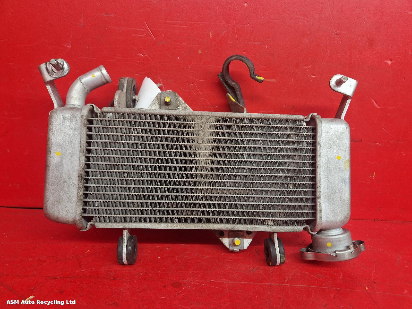 View Auto part Radiator Yamaha Yzf R125 2022