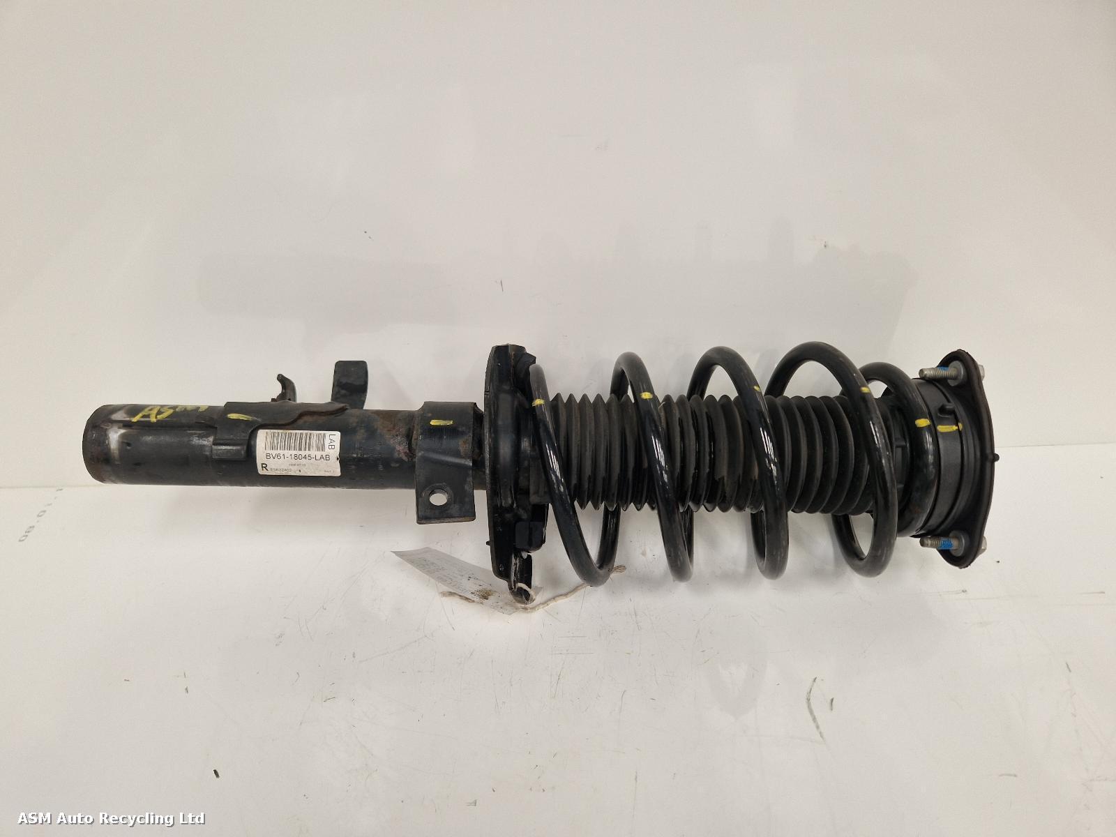 View Auto part RF Strut Ford Focus 2015