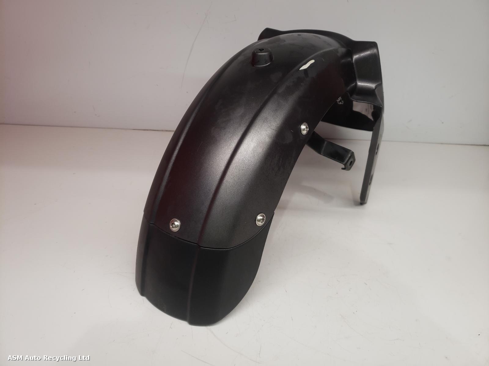 View Auto part Front Mudguard Lexmoto Pegasus 300 2021