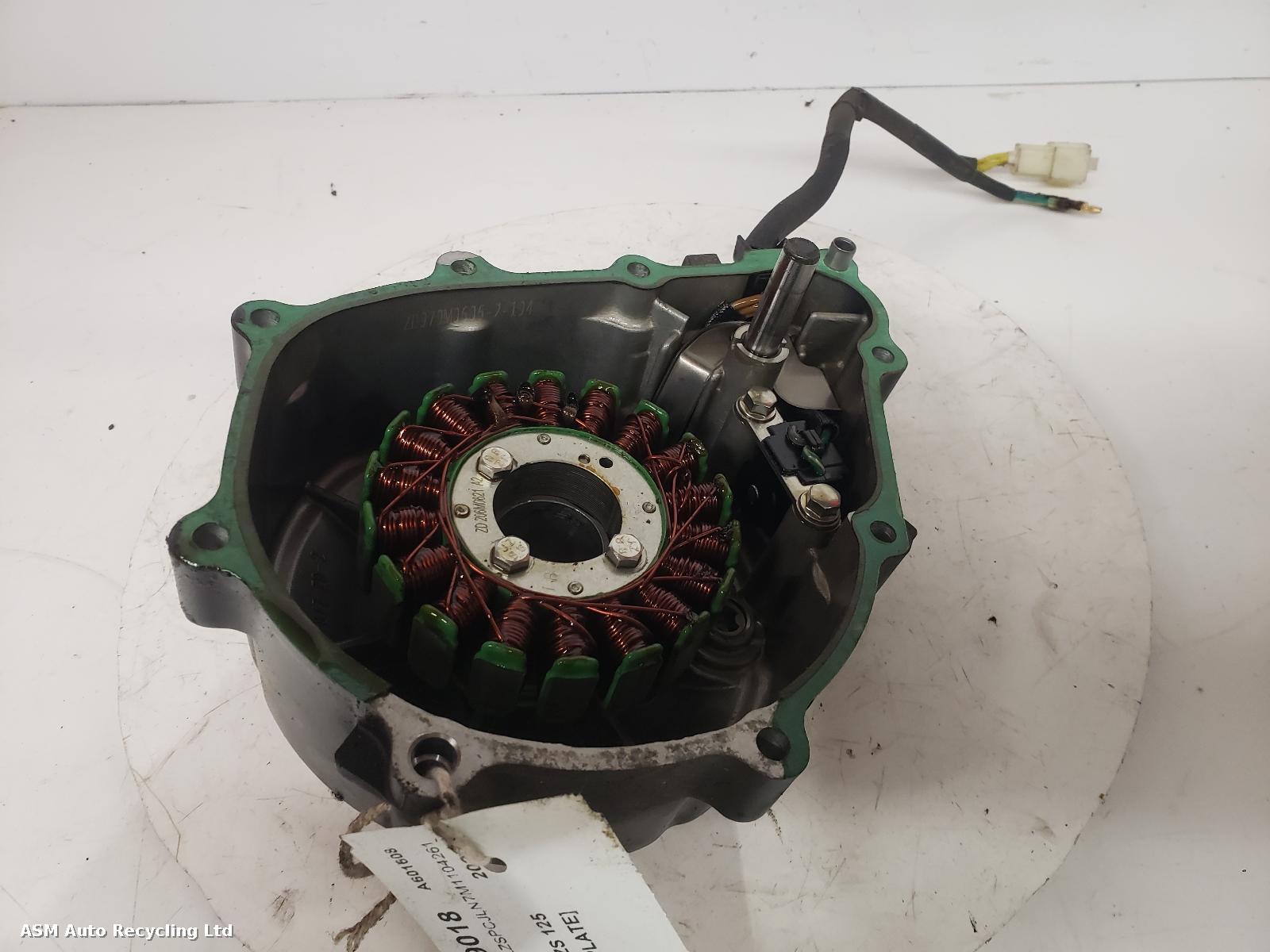 View Auto part Stator Plate Lexmoto Michigan Zs 125 2023