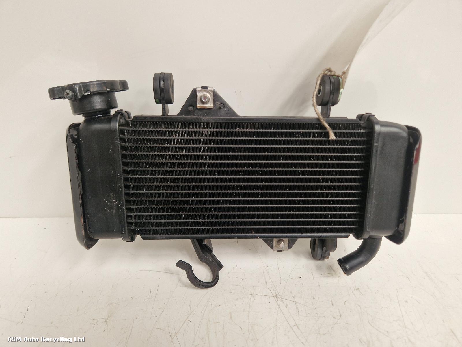 View Auto part Radiator Yamaha Xsr125 2022