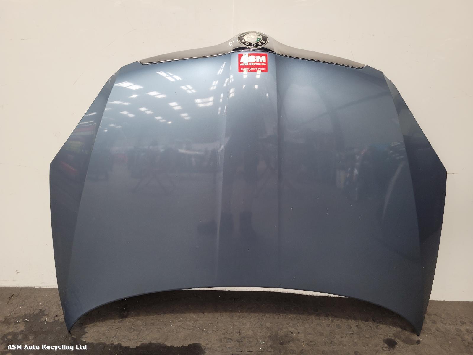 View Auto part Bonnet Skoda Fabia 2010