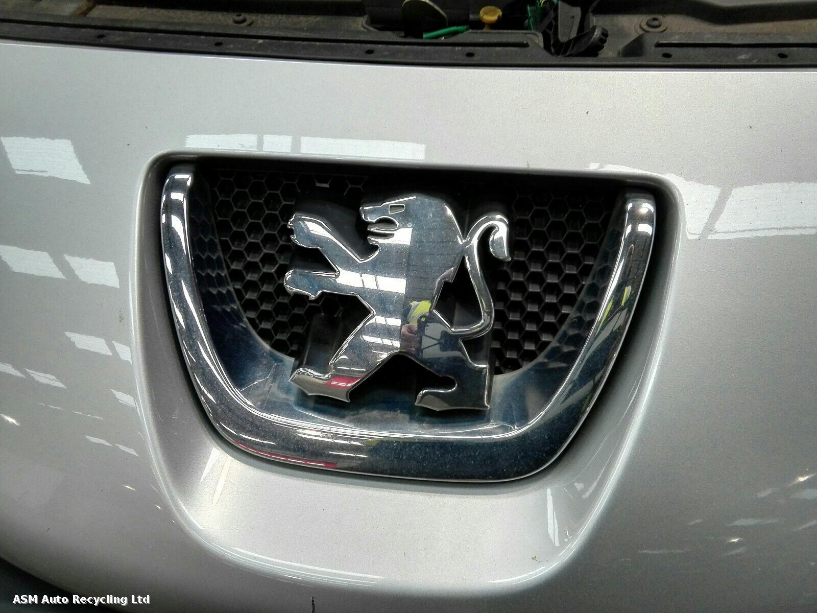 View Auto part Grille Peugeot 207 2009